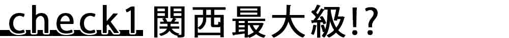 check1 関西最大級！？